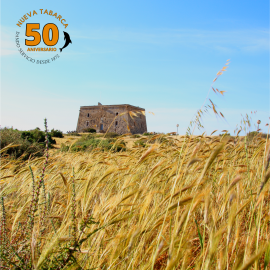 ¿Que hacer en la Isla de Tabarca?
